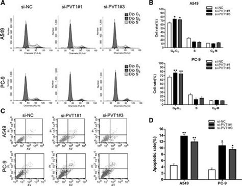 Long Noncoding Rna Pvt1 Promotes Nonsmall Cell Lung Cancer Cell