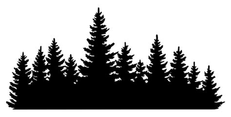 Premium Vector | Fir trees silhouette Coniferous spruce horizontal ...