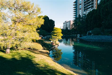 Japanese Friendship Garden in Phoenix, Arizona, USA · Free Stock Photo