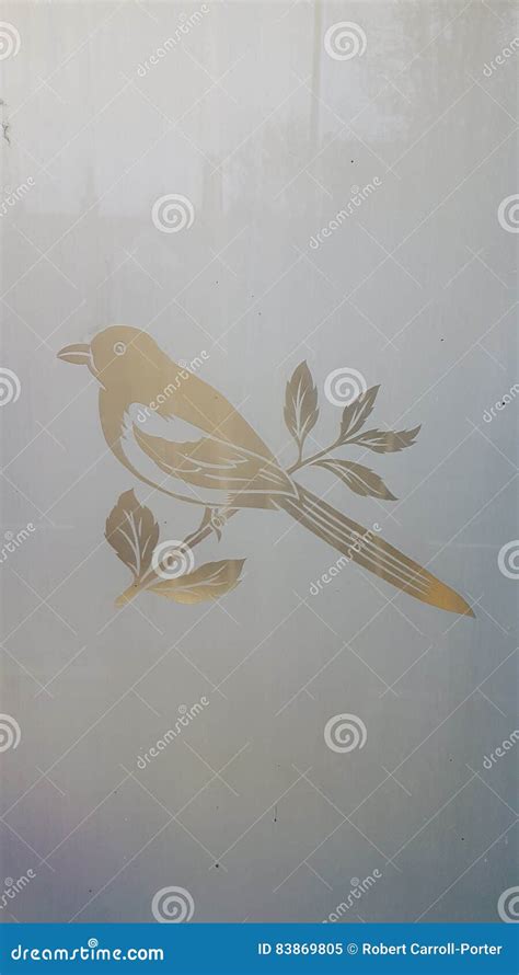 Fogged Glass Stock Image Image Of Etched Magpie Glass 83869805