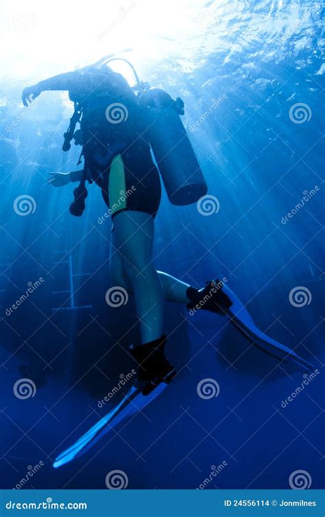 Scuba Diver Comes Up From A Dive Stock Photo Image Of Diver Coral