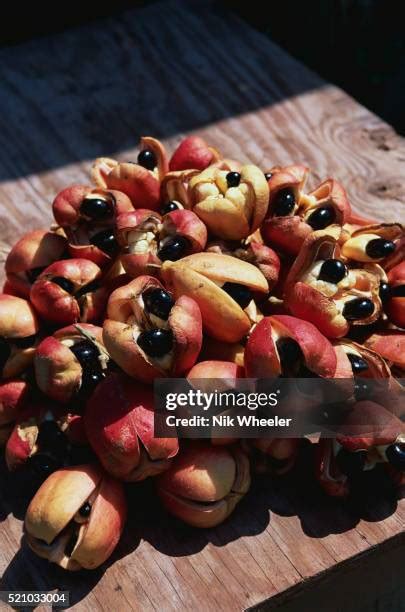 44 Ackee Fruit Stock Photos, High-Res Pictures, and Images - Getty Images