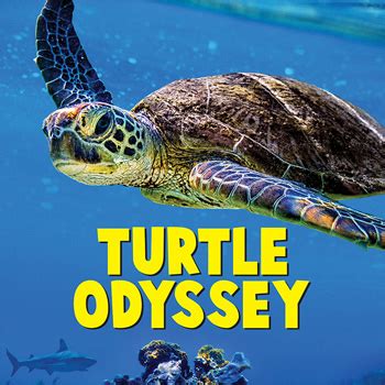 Turtle Odyssey > K2 Studios