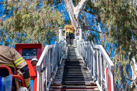 Firefighter Doing Tree Rescue on Top of Ladder Truck Stock Photo ...