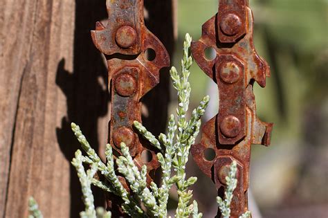 Free Images Wood Flower Monument Rust Statue Sculpture Art