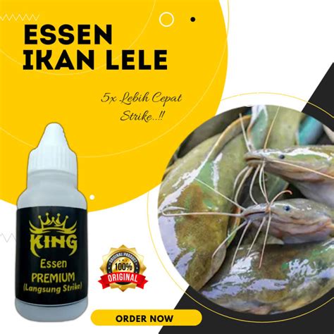 Essen Ikan Lele Paling Ampuh Di Segala Cuaca Lazada Indonesia