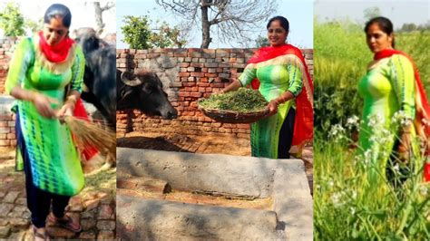 Village Woman Working Routine💜 Indian Rural Life Of Punjab🖤village Life