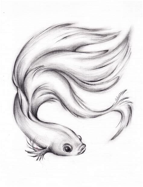 drawing fish