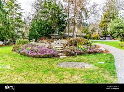 A Gardn Park In Normandy Park Washington Spring Flowers Are In Bloom