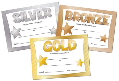 Gold Silver Or Bronze Award Certificates Sport Etsy Denmark