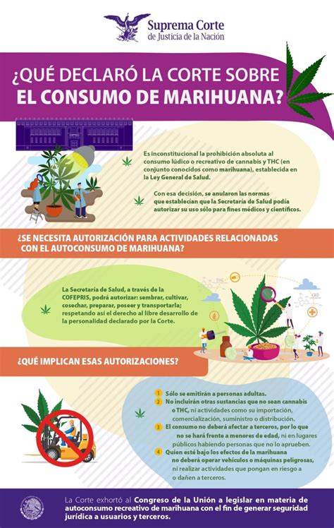 ¿qué Declaró La Suprema Corte De Justicia De La Nación En México Sobre El Consumo De Marihuana