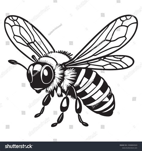 Honey Bee Black White Logo: Over 14,881 Royalty-Free Licensable Stock Vectors & Vector Art ...