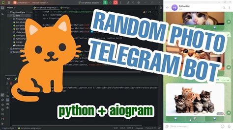 Random Images Telegram With Buttons In PYTHON Aiogram 3 PART 1