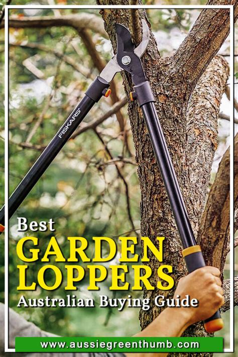 Best Garden Loppers for 2025 | Australian Buying Guide