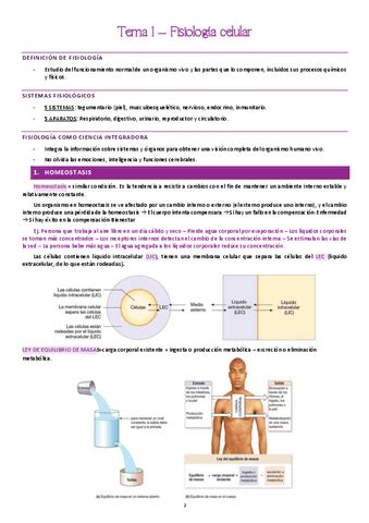 Tema Y Fisio Pdf