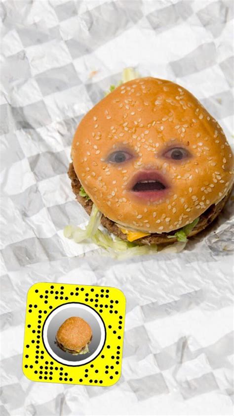 Burger Face R Snaplenses