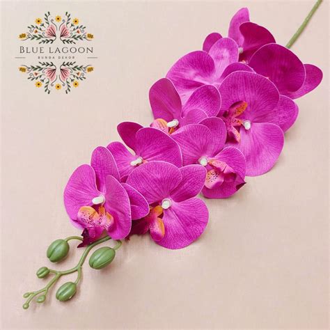 Jual Artificial K Real Touch Large Orchids Bunga Anggrek Latex