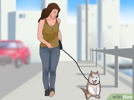 how to get a dog to stop howling