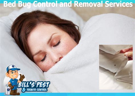 Best Bed Bug Control Queen Creek Az Bedbug Exterminator