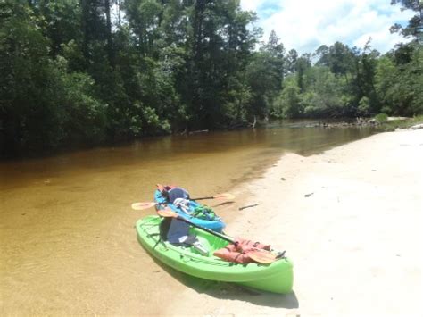 Blackwater River, FL Panhandle. Kayak, Canoe. E-Z Map, Photos.