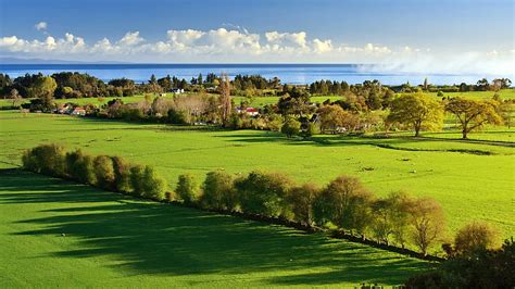 Hermosas Fincas Junto Al Mar Granjas Ganado Campos Mar Fondo De