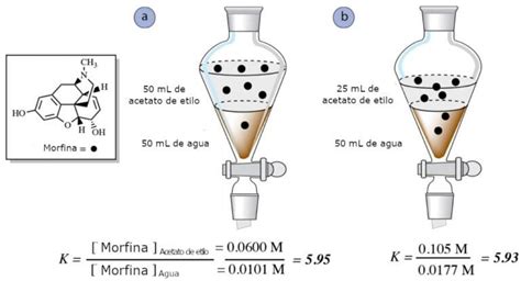 Teor A De La Extracci N T Cnicas De Laboratorio Quimicafacil Net