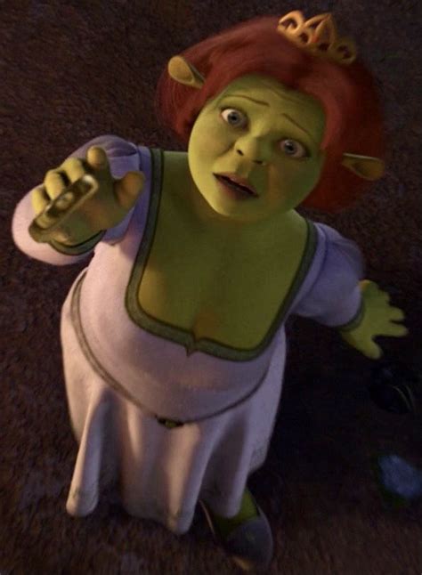 Pin De Miguelcarazzai Em Shrek E Princesa Fiona Princesa Fiona
