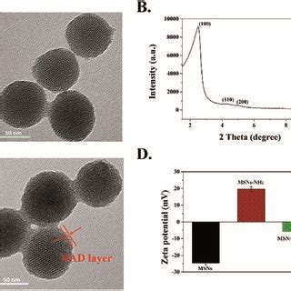 Morphology And Structural Characterization Of Different Msns A Tem