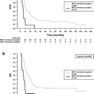 Progression Free A And Overall Survival B Dependent On MCT1