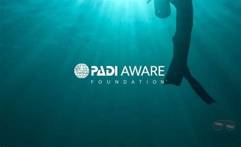 Padi Aware Specialist Dive Soul Cursos De Mergulho