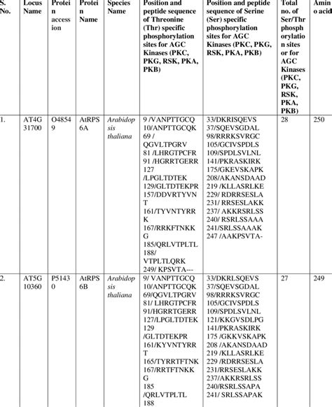 Identification Of Ser Thr Phosphorylation Sites In Rps Mediated By Agc