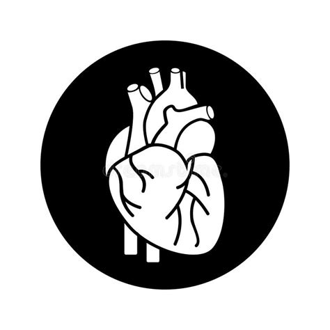 Human Heart Organ Vector Sketch Icon Stock Vector Illustration Of