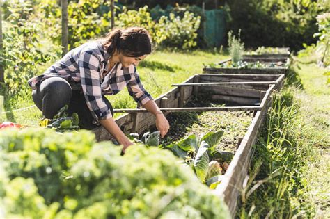 Gardening In May What Work Is Coming Up Now The Limited Times