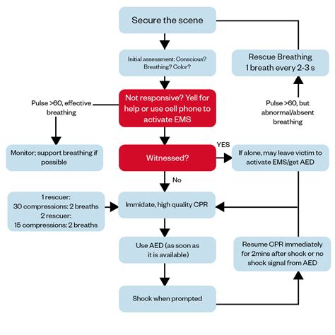 American Heart Association Bls Algorithms Protocols