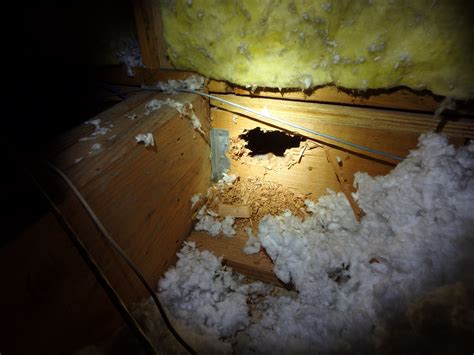 Common Attic Defects Found During Home Inspection — Caliper Home