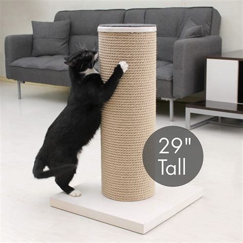 Cat Scratching Posts For Large Cats At Catrina Ward Blog