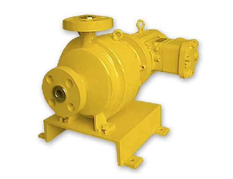 Centrifugal Pump Process Multi Fluid Magnetic Drive Ritm Industry