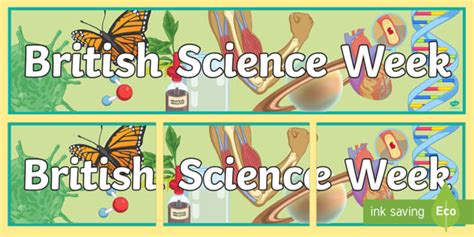 British Science Week Display Banner Teacher Made