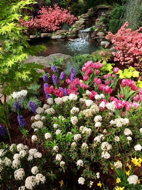 Mar 13 | Boston Flower & Garden Show | Boston, MA Patch