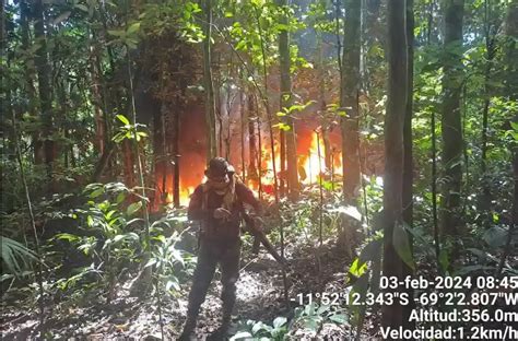 Nuevas Zonas De Cultivo Ilegal De Coca Causan Deforestaci N