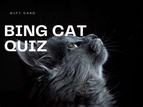 Bing Cat quiz - Test Your Knowledge on Bing Quiz