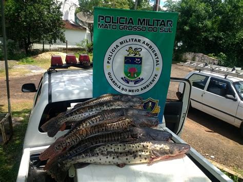 Em Dois Meses De Piracema Pma Apreendeu Mais De T De Peixe E Aplicou