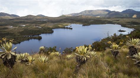 Guía de viaje Cundinamarca | Turismo Cundinamarca - KAYAK