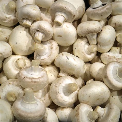 Button Mushroom (200g) · Essington Farm