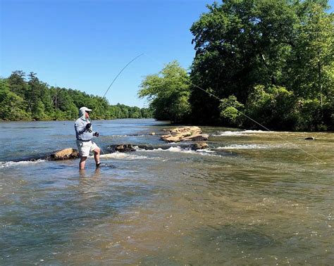 Shoal Bass To Be Designated As Official Georgia State Riverine Sport