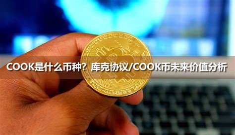 Cook是什么币种？库克协议cook币未来价值分析币种百科区块链脚本之家