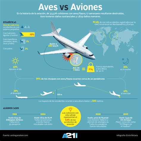 Cuando La Aviaci N Y La Naturaleza Chocan Literalmente Infograf A