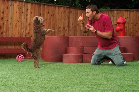 Brandon mcmillan dog trainer - serrepars