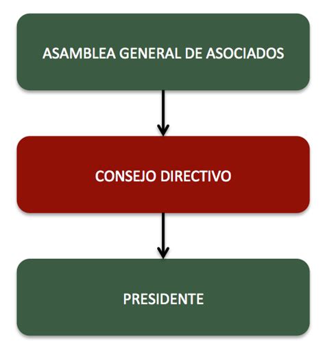 Qu Son Las Asociaciones Sin Fines De Lucro Varios Ejemplos