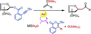 Gold I Catalyzed C Glycosylation Of Glycosyl Ortho Alkynylbenzoates